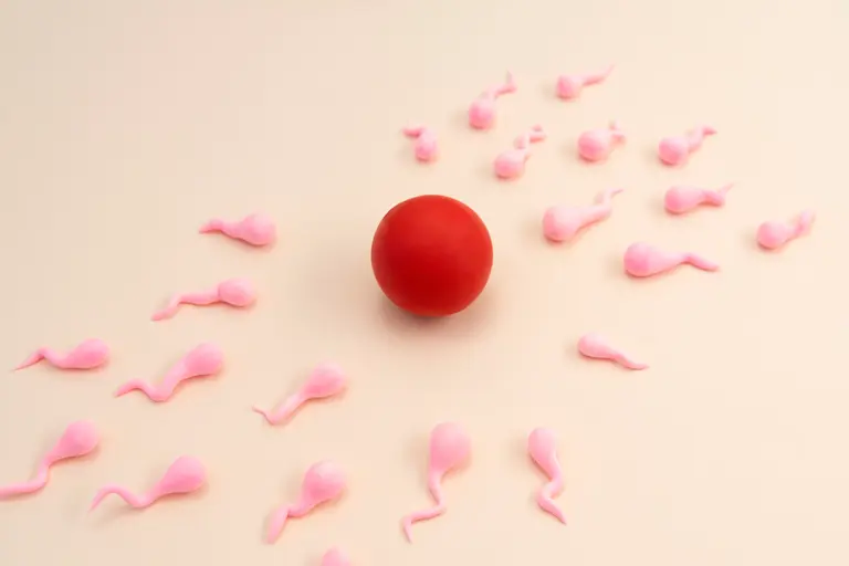 Clinical still life illustrating male fertility and semen testing for haematospermia in Singapore