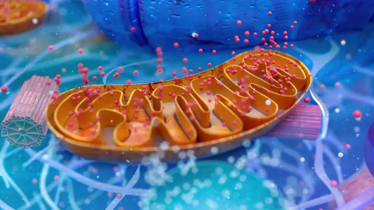 3D illustration of a lipoprotein particle used to explain Lipoprotein(a) heart disease risk in Singapore
